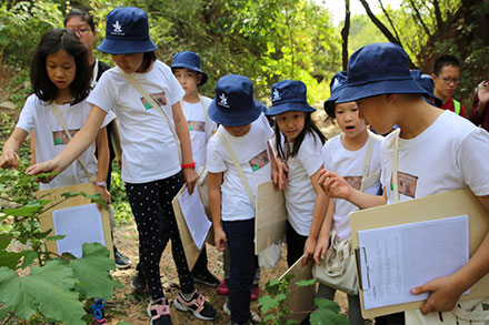中小學研學-野外實踐